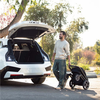 Nuna MIXX Next + ARRA Flex Travel System + Luxury Accessories Bundle - Caviar