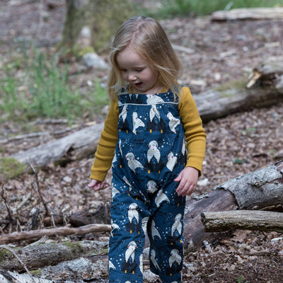 Little Green Radicals - Winter Owls Playdays Dungarees