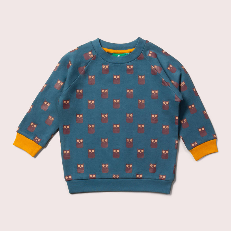 Little Green Radicals - Twit Twoo Raglan Sweatshirt