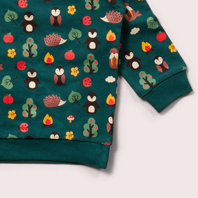 Little Green Radicals - Woodland Walk Long Sleeve Raglan Sweatshirt