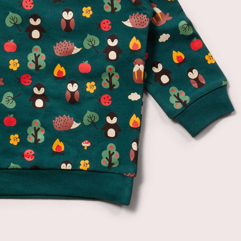 Little Green Radicals - Woodland Walk Long Sleeve Raglan Sweatshirt