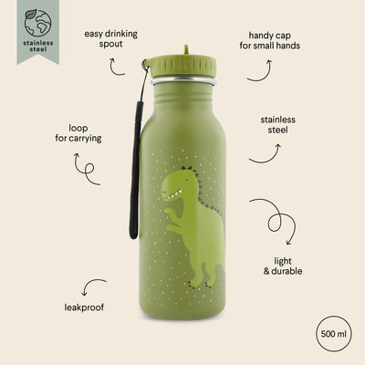 Trixie 500ml stainless steel kids water bottle with green dinosaur design, leakproof and durable with carry loop and easy-to-use cap