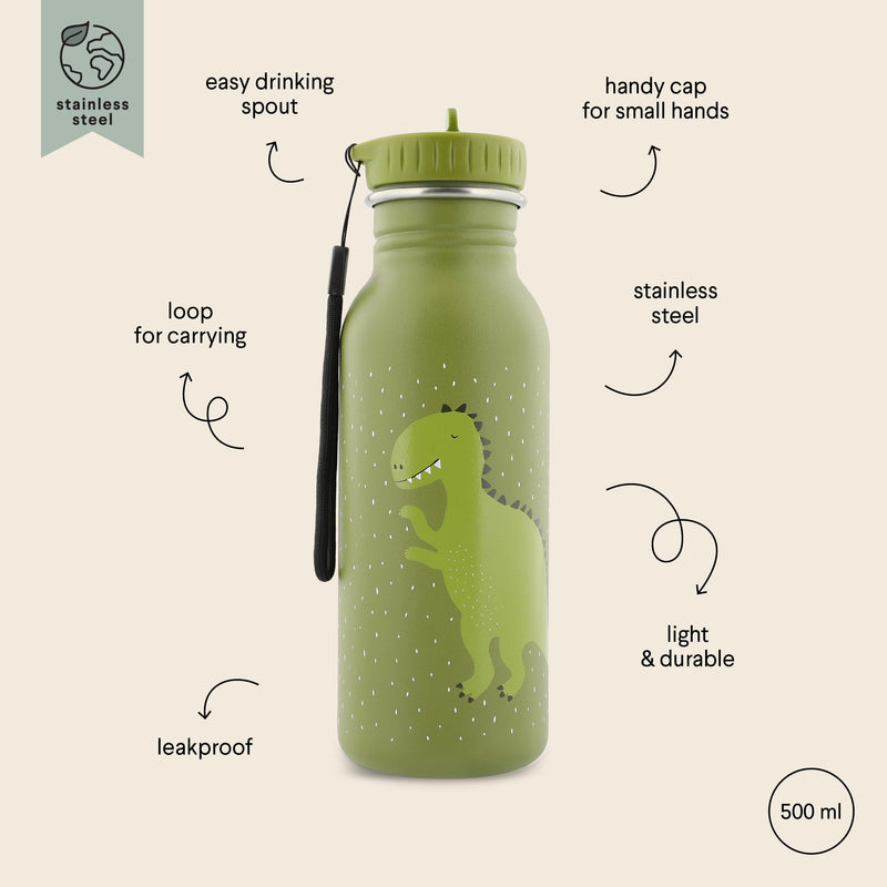 Trixie 500ml stainless steel kids water bottle with green dinosaur design, leakproof and durable with carry loop and easy-to-use cap