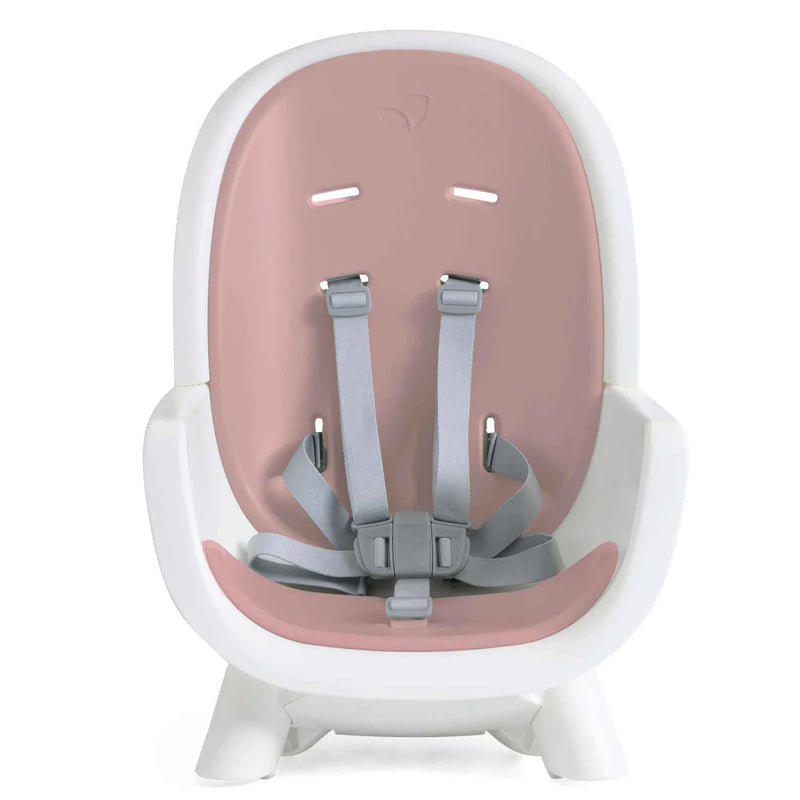 Joie Chestnut Highchair in Lola