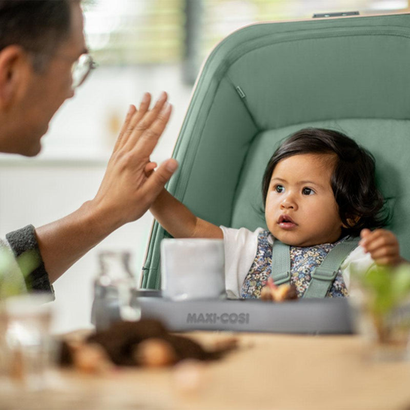 maxi-cosi alba all-in-one bassinet Maxi-Cosi Alba All in One Bassinet & Highchair