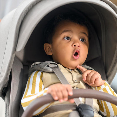 Maxi-Cosi Oxford+ - Twillic Truffle