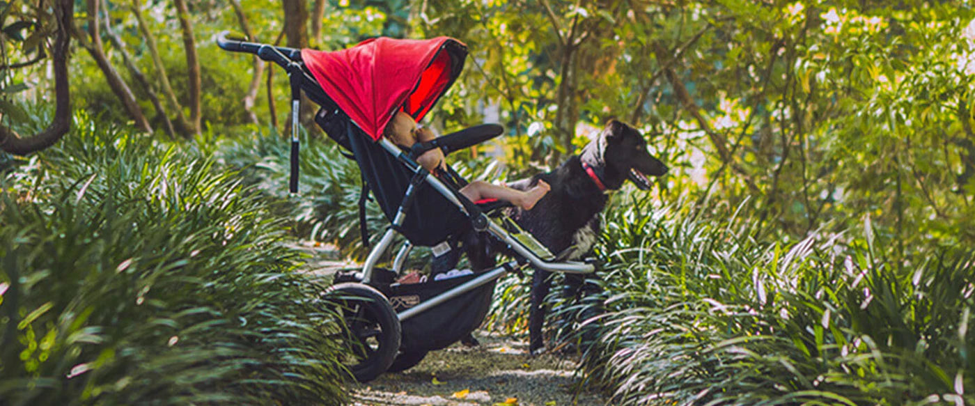 Mountain Buggy My Baby Stroller