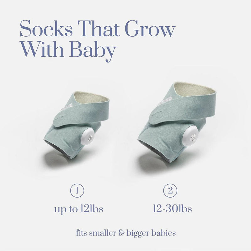 Owlet Smart Sock 3 Bundle - Wild Child + Mint