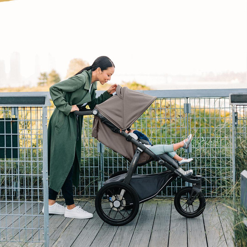 UPPAbaby RIDGE Pushchair - Theo