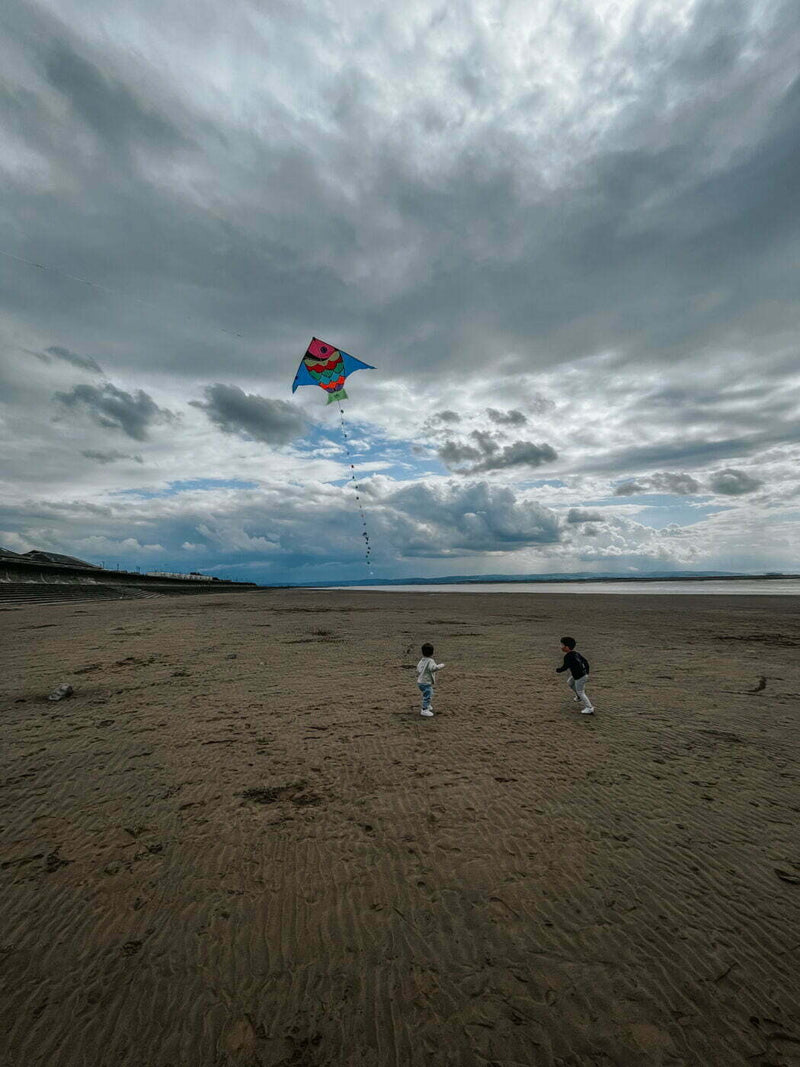 Vilac - Giant Fish Kite