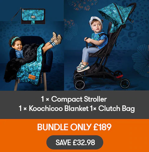 Bizzi Growin Bundle - Compact Stroller, Bag & Blanket - Hummingbird